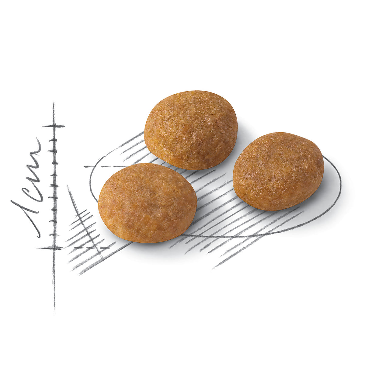 Royal Canin Cat Exigent Aromatic