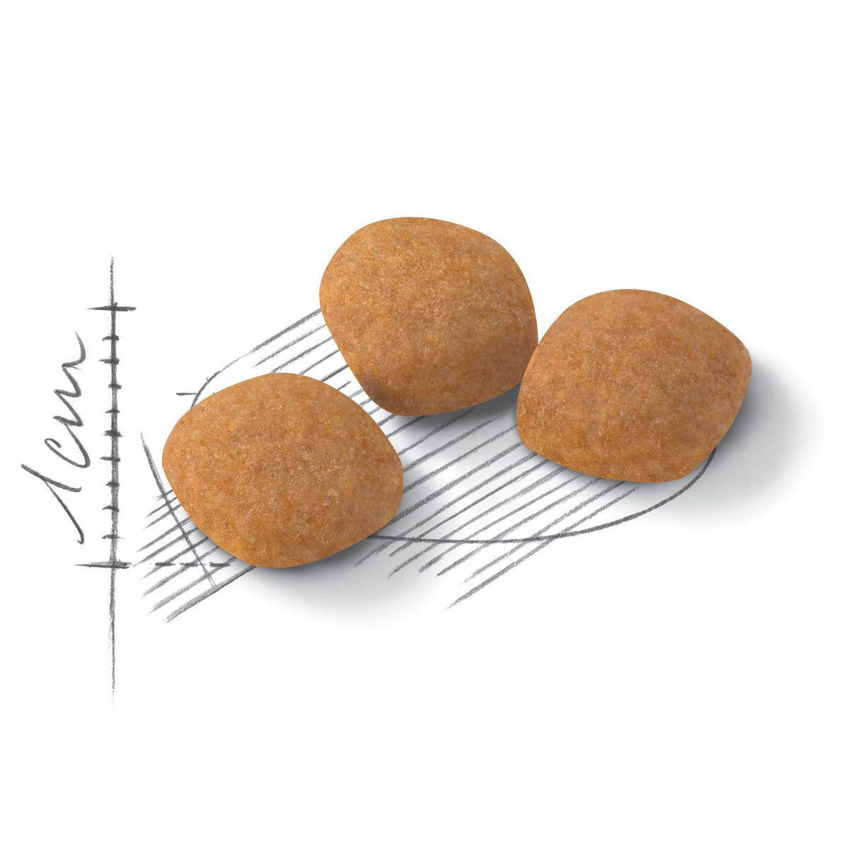 Royal Canin Cat Exigent Protein