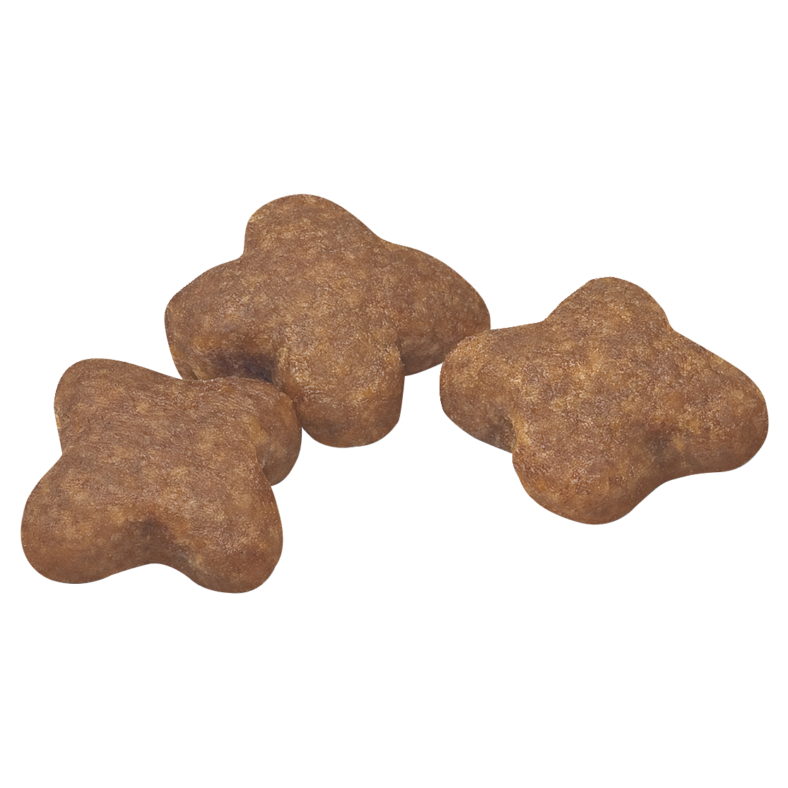 Royal Canin Mini Adult 8 plus