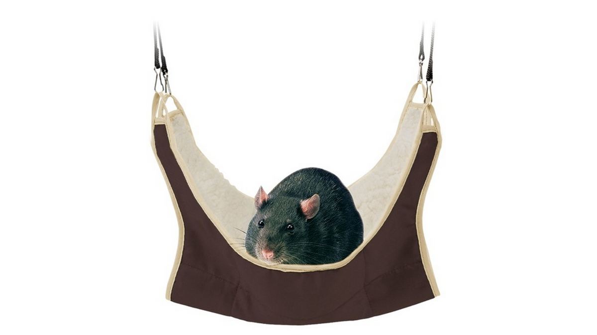 Trixie Hammock Rat