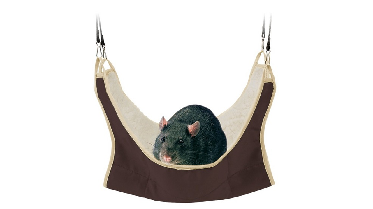 Trixie Hammock Rat