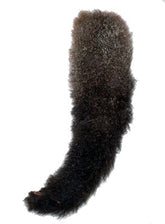 Possum Tail