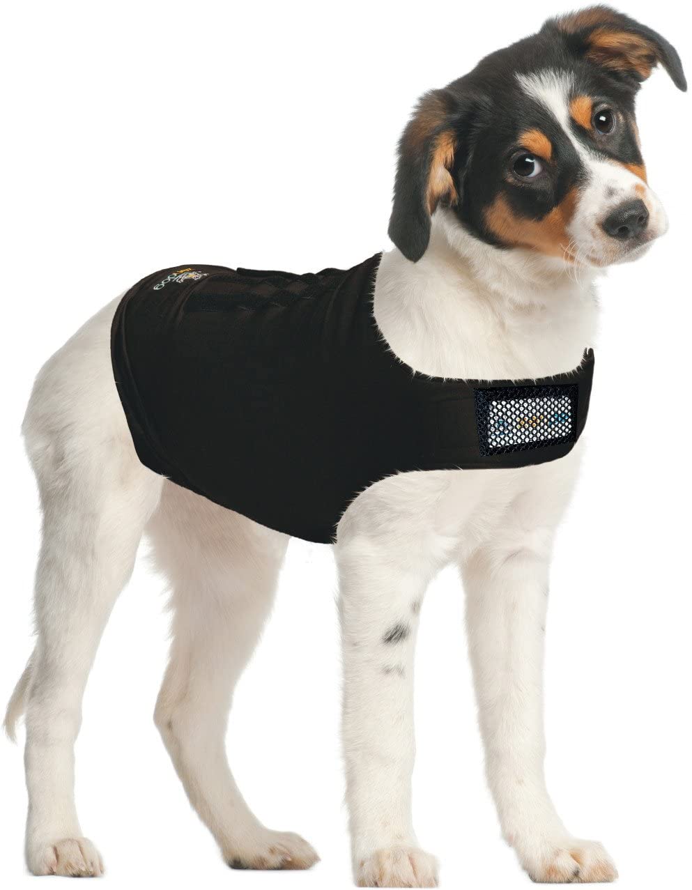 Zendog Compression Shirt