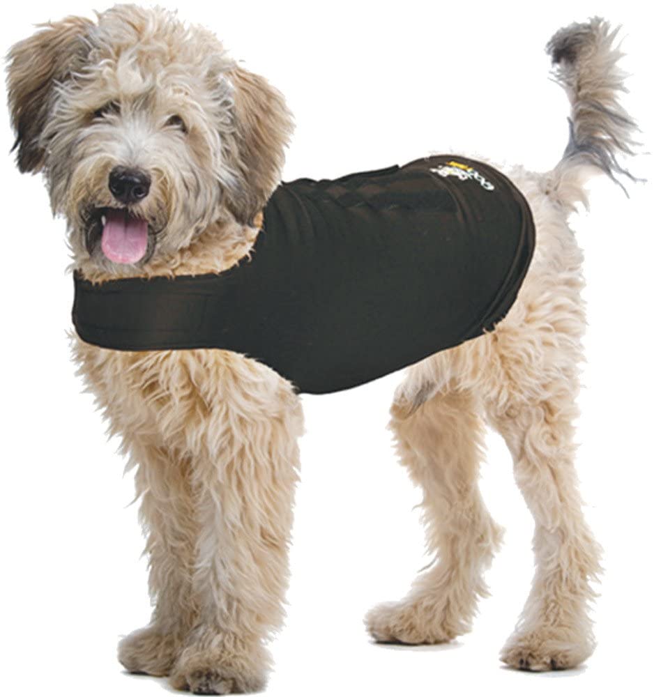 Zendog Compression Shirt