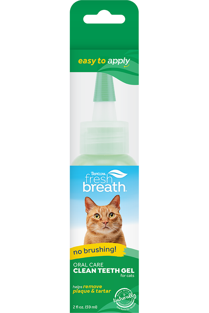 Fresh breath online clean teeth