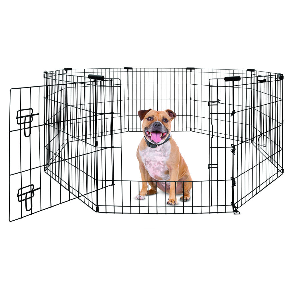 Yours Droolly Exercise Pen