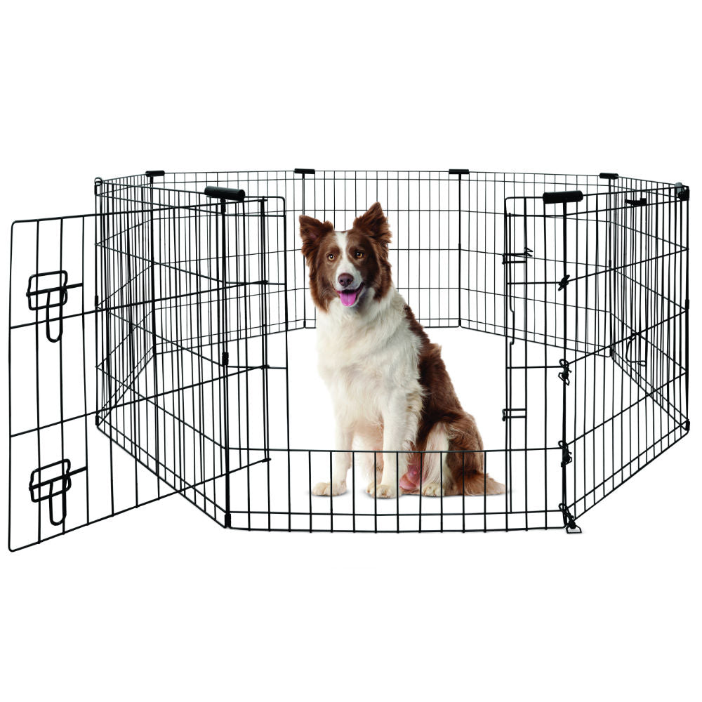 Yours Droolly Exercise Pen