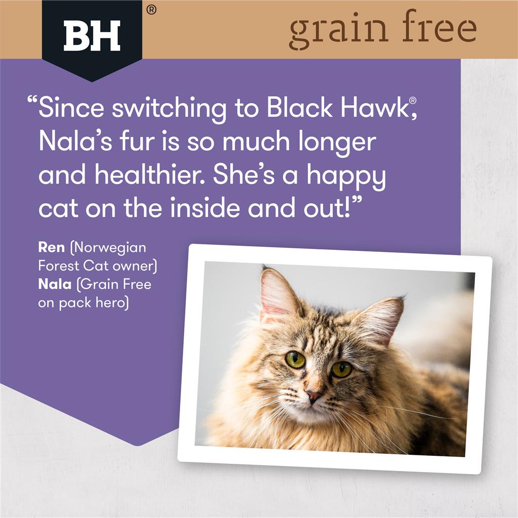 Black Hawk Grain Free Cat Duck and Fish