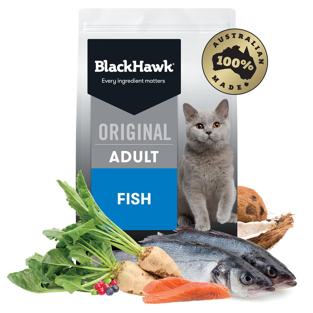 Black Hawk Cat Fish