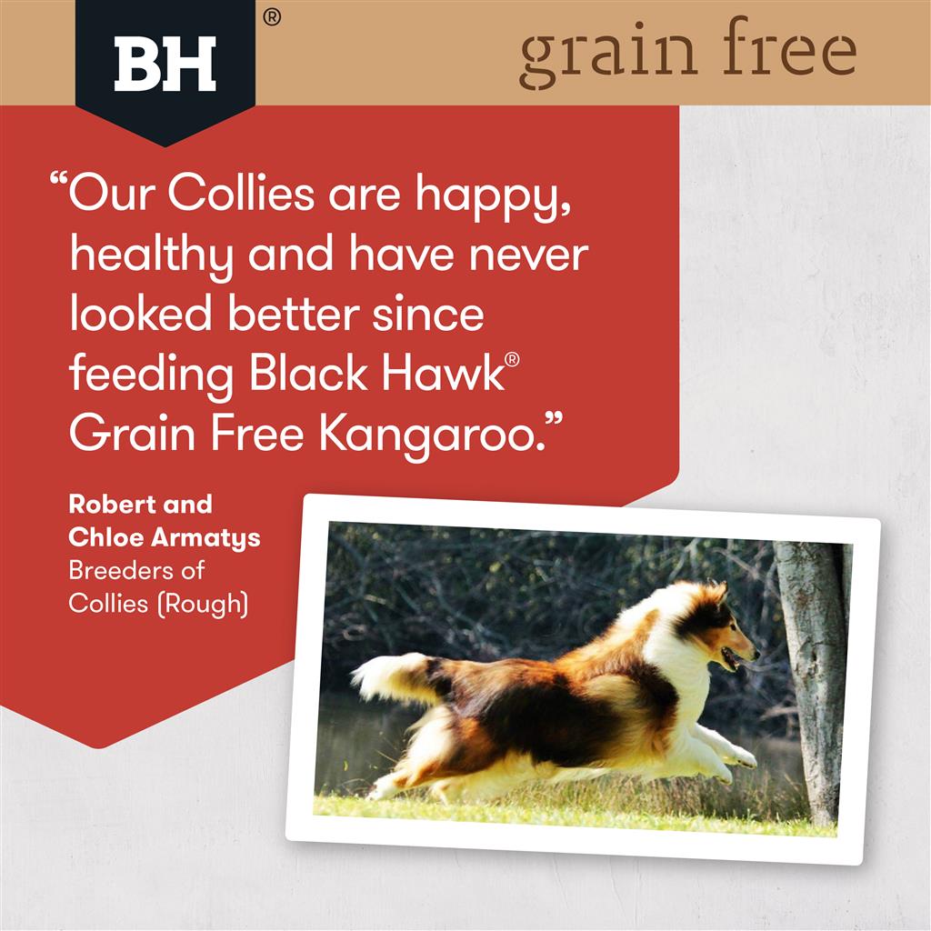 Black Hawk Grain Free Kangaroo