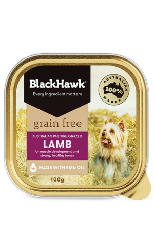 Black Hawk Grain Free Lamb Tin