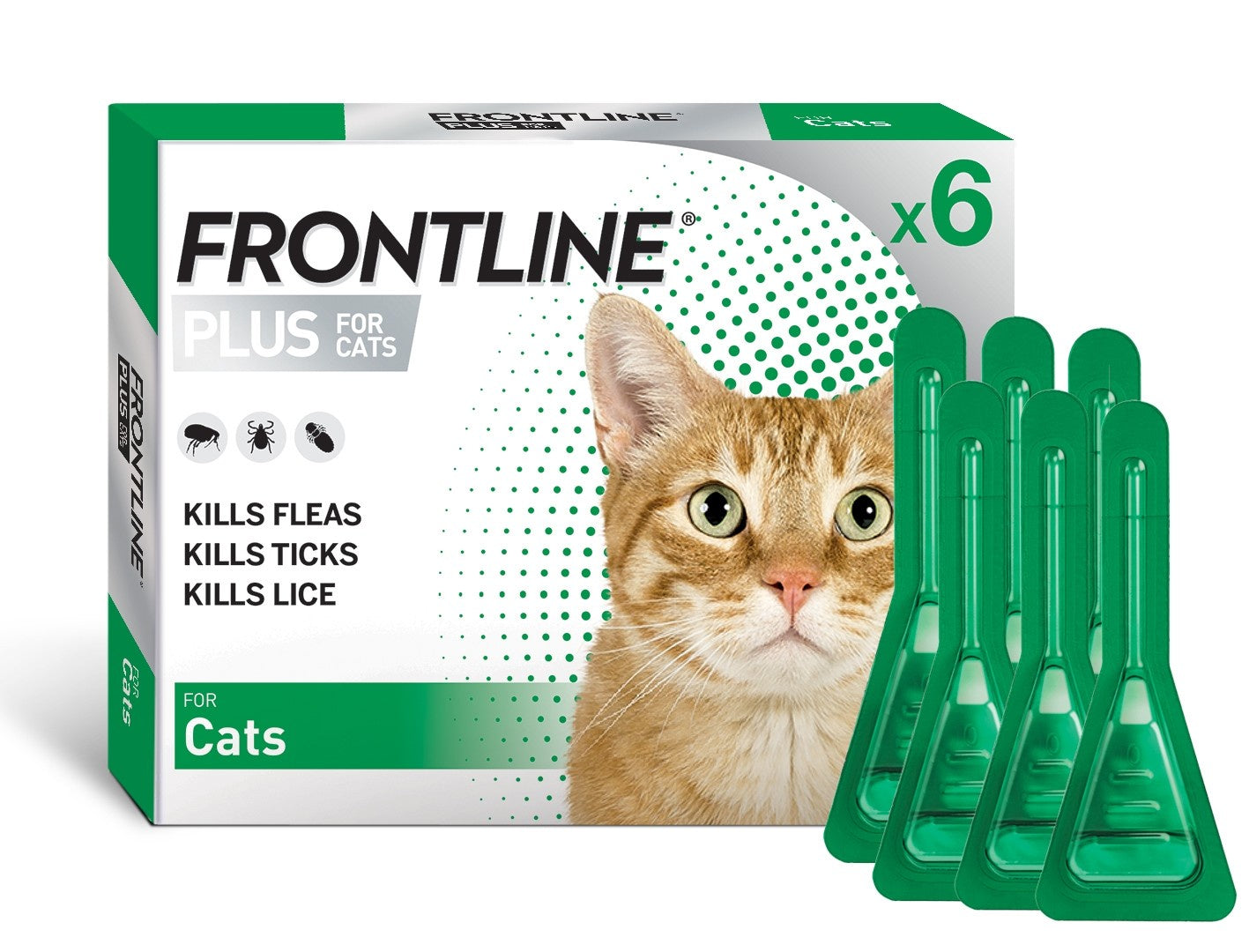 Frontline Cat