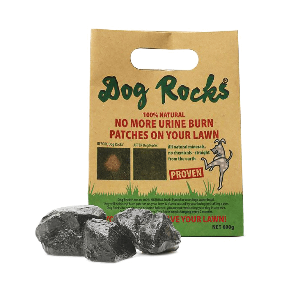 Dog Rocks