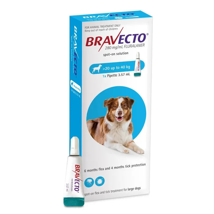 Bravecto Spot On Dog