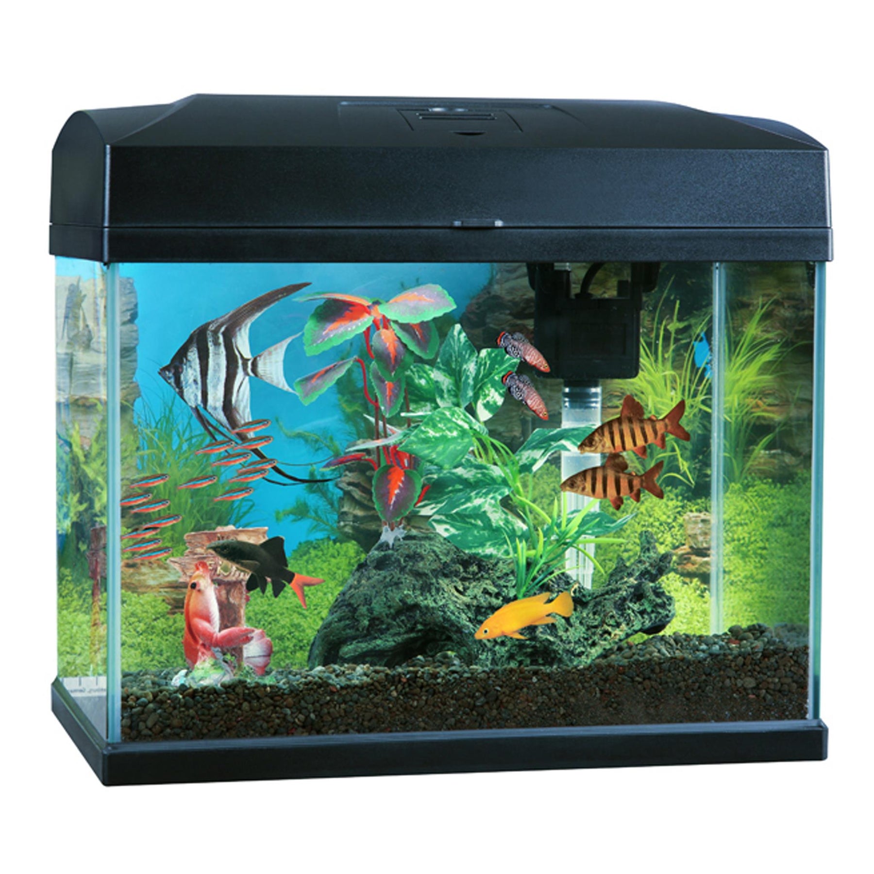 Blue Planet Classic Aquarium