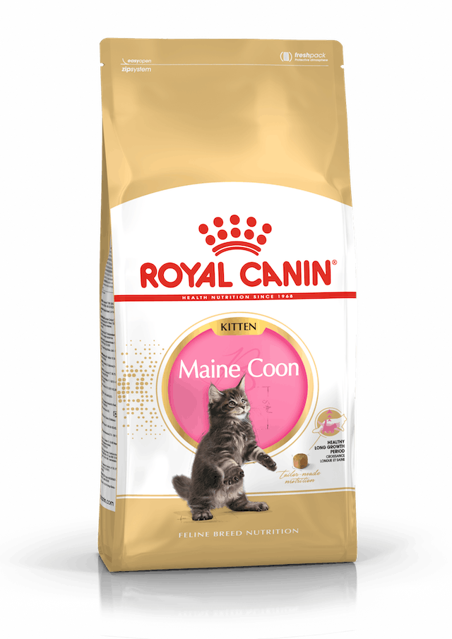 Royal Canin Maine Coon Kitten 2kg