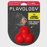 Playology Squeaky Bounce Ball - Beef Medium
