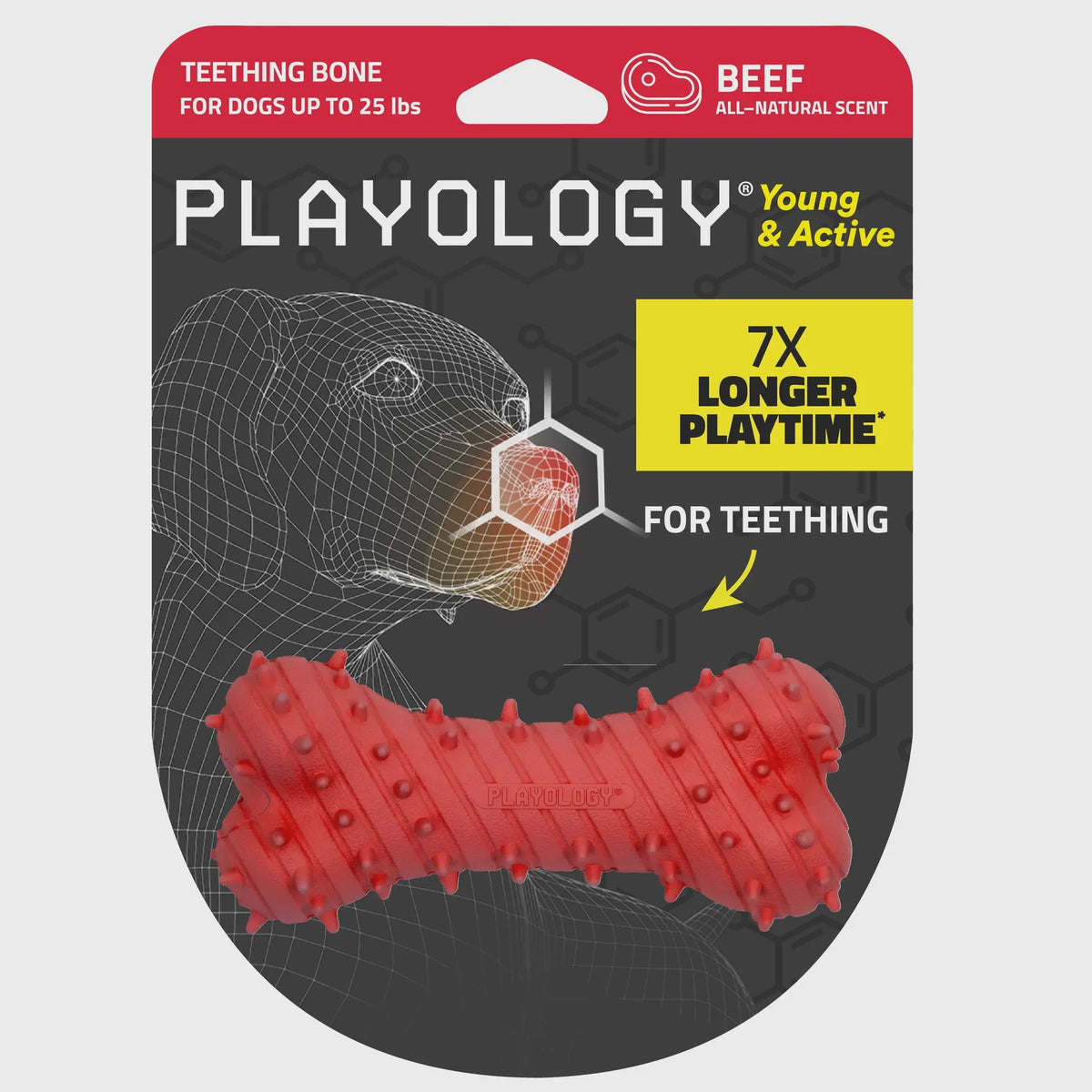 Playology Puppy Teething Bone - Beef Jumbo