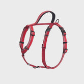 Halti Walking Harness Red