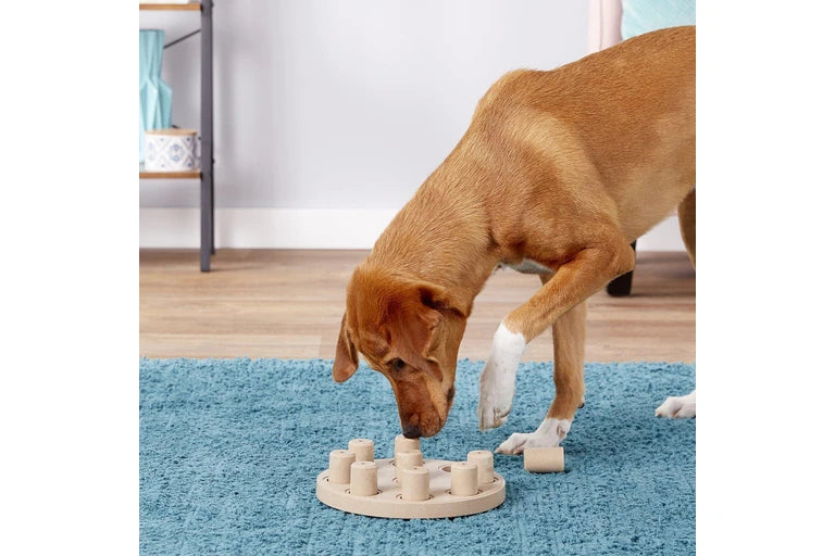 Outward Hound Dog Smart Composite