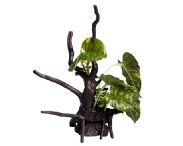 Ecoscape Monstera Driftwood Green