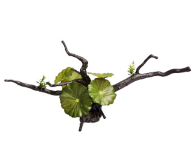 Ecoscape Calathea Driftwood Green