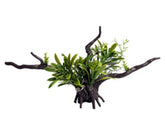 Ecoscape Bromealiad Driftwood Green