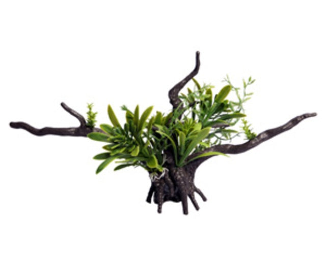 Ecoscape Bromealiad Driftwood Green