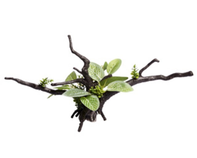 Ecoscape Ignotous Driftwood Green