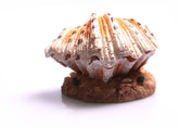 Air Operated Clam On Sand