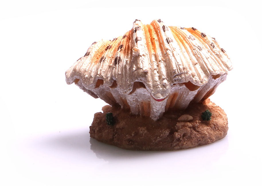 Air Operated Clam On Sand