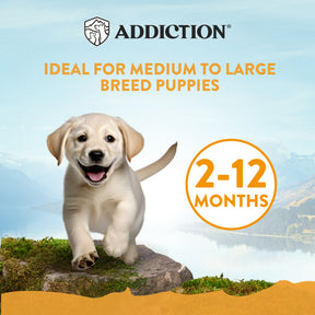 Addiction Mega Chicken for Large Breed Puppy