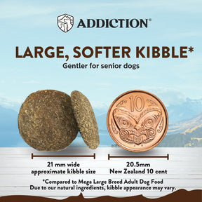 Addiction Mega Chicken for Large Breed Senior