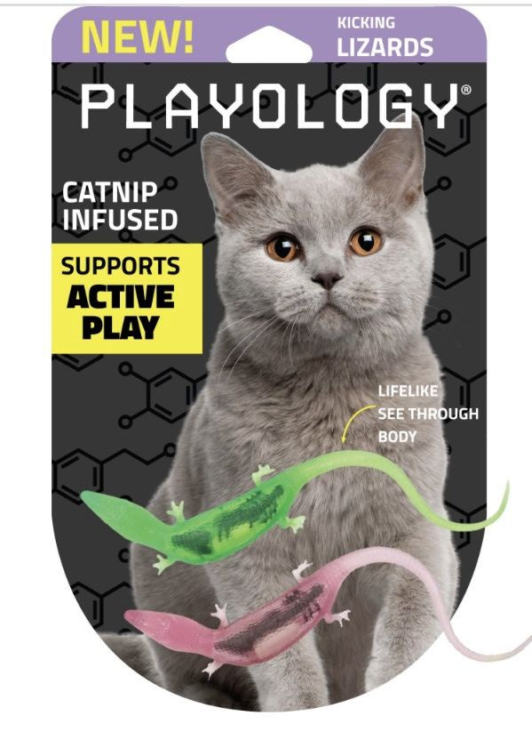Playology 2-Pk Lizards with Bugs Cat Toy