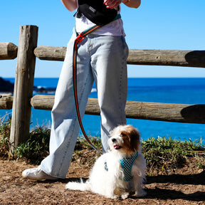 Neoprene top dog leash