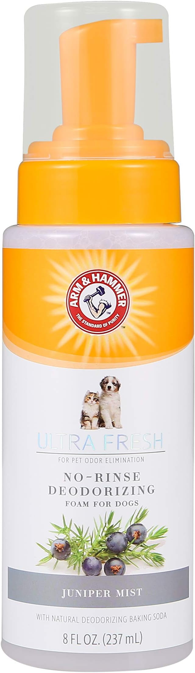Arm & Hammer Ultra Fresh No-Rinse Deodorizing Foam with Cactus Water & Citrus