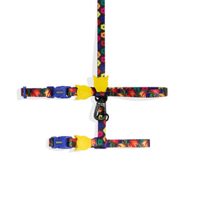 Zee.Cat Cat Harness+Leash Samba