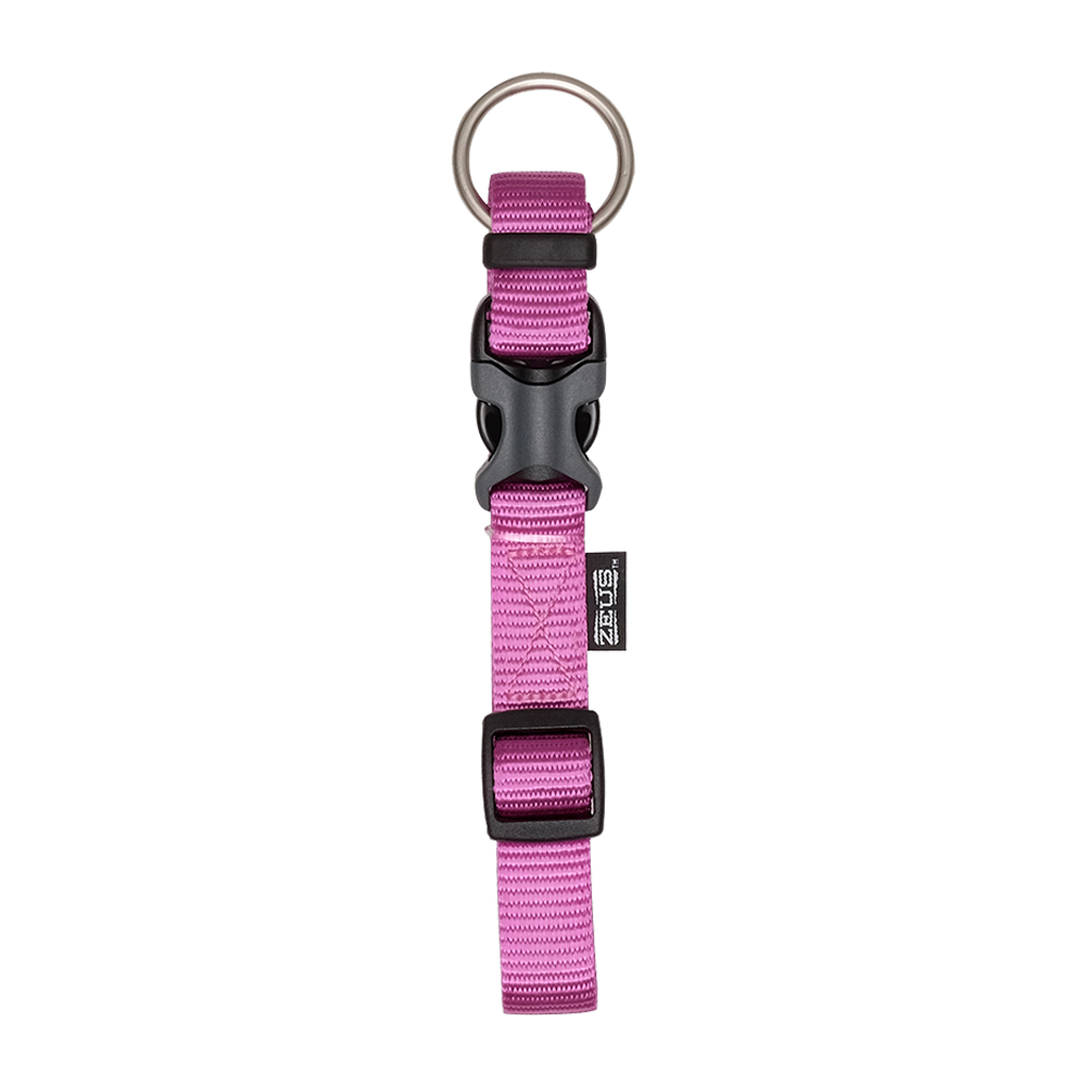 Zeus Adj Collar Fuchsia