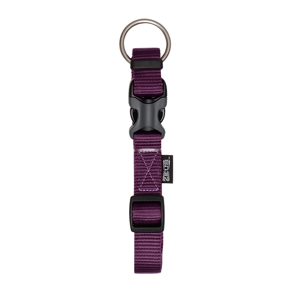 Zeus Adj Collar Royal Purple