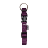 Zeus Adj Collar Royal Purple