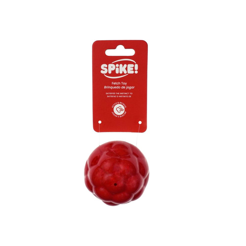 Spike Blob Ball Dog Toy