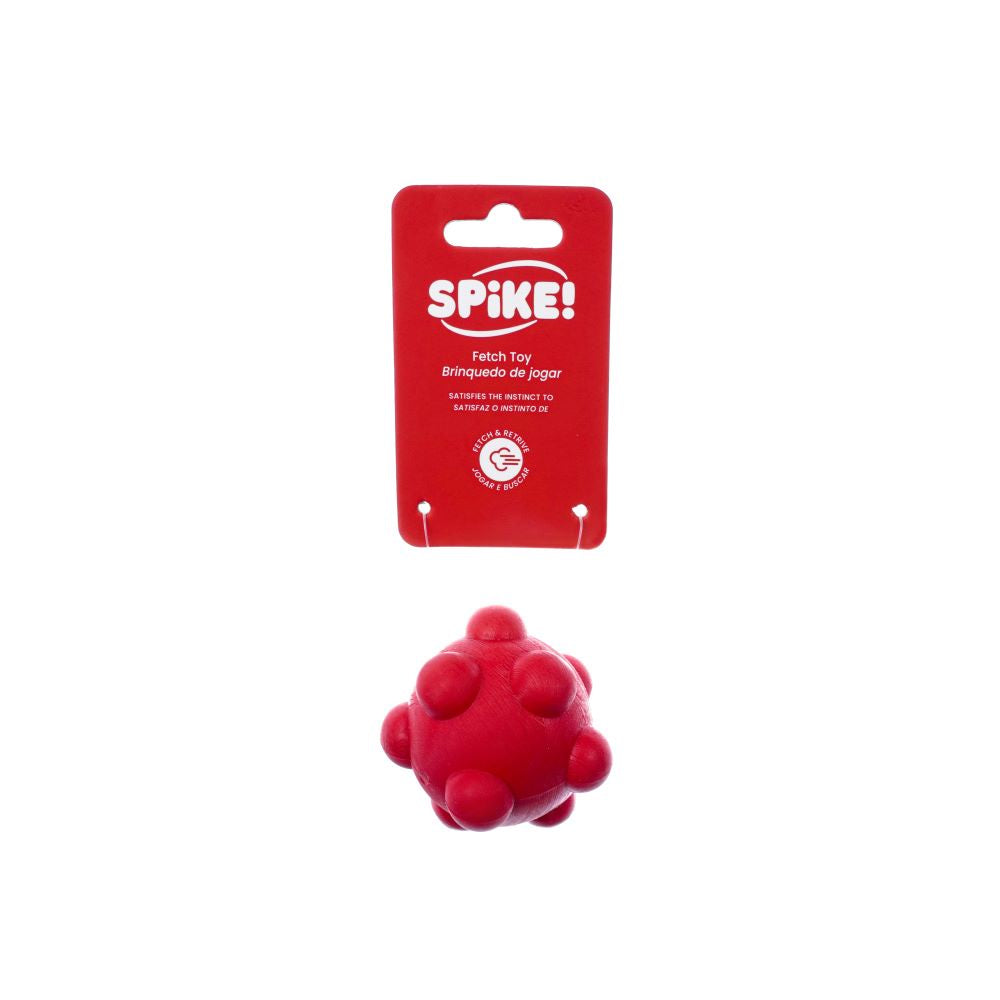 Spike Asteroid Ball Dog Toy