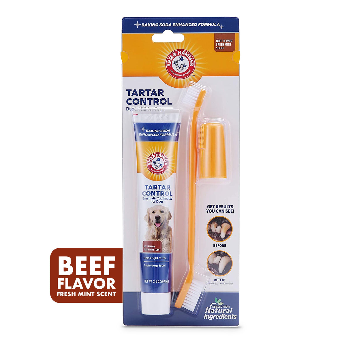 Arm & Hammer Tartar Control Dental Kit Beef 74ml