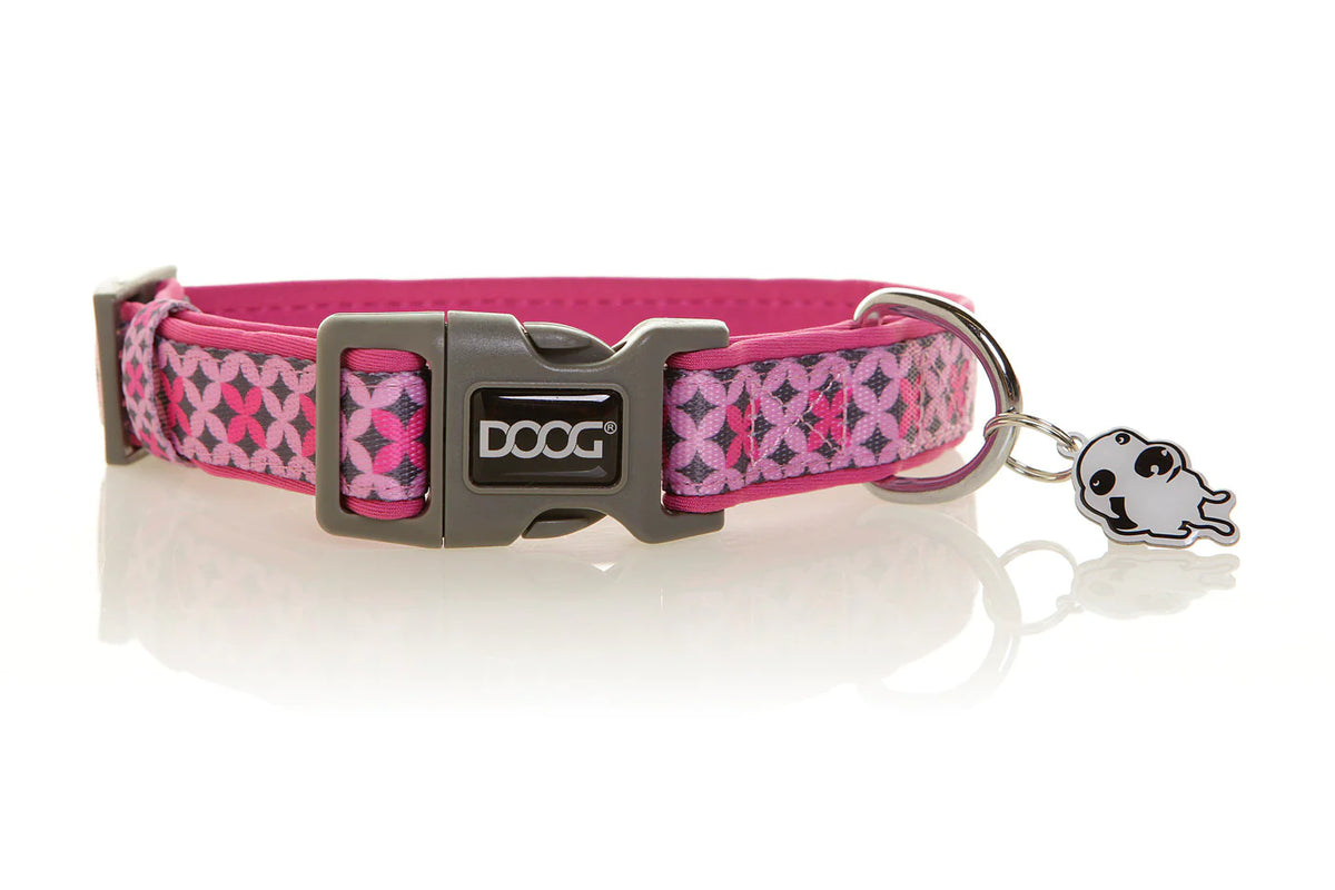 Doog 2025 dog collar