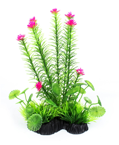 Aqua World Plant Floral Spike 25cm