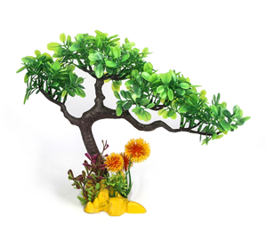 AquaWorld Plant Bonsai Pine 24cm