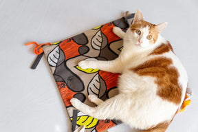 P.L.A.Y. Feline Frenzy - Crinkle Catnip Mat