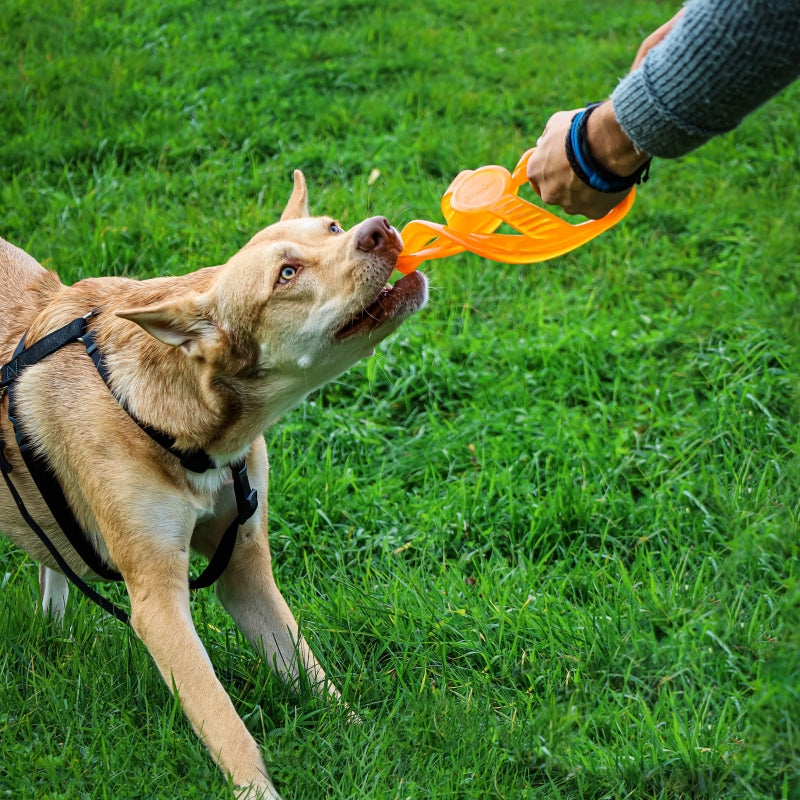 BIONIC Toss-N-Tug Ring