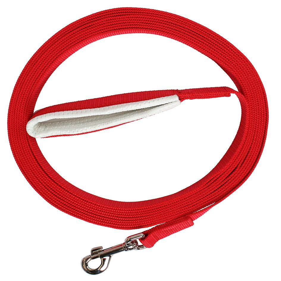 Dog Training - Flair Web Lead