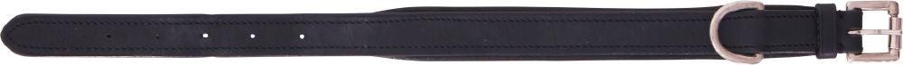 Cavallino Padded Leather Dog Collar